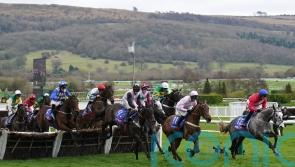 Tellherthename to hold out for better ground after Cheltenham effort