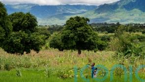 Irish aid worker: Malawi faces existential threat from climate change