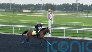 Dubai Turf distance expected to suit Nashwa