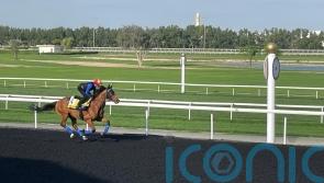 Meydan reunion for Dettori and Gosden