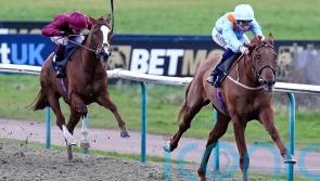 &lsquo;Revelation&rsquo; Dear My Friend out to continue hot streak