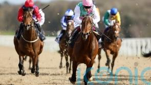 Fire Demon finishing speed too hot for Newcastle rivals