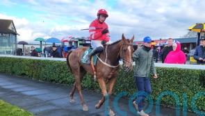 Blood Destiny and Spillane&rsquo;s Tower set for trilogy decider