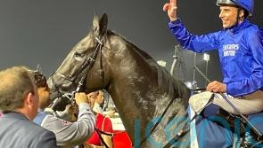 Rebel&rsquo;s Romance rekindles Meydan love affair