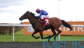 Dubai Honour makes most of Magnolia opportunity