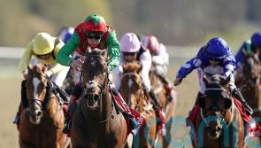 Cox in no rush to map out Diligent Harry campaign