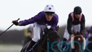 Exciting big-race options are open to Elegant Man