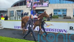 Bright future beckons for Galileo Dame after Leopardstown success