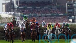 Punchestown redemption Mission a possibility for Mahler