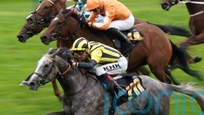 True Cyan takes Nell Gwyn leap on seasonal bow