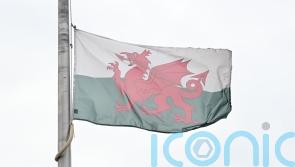 Former Wales winger Leighton James dies, aged 71