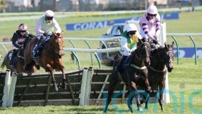 Fortune favours Alan King ace in Scottish Champion Hurdle