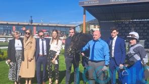 Yosemite Valley delivers on early promise with Gladness success