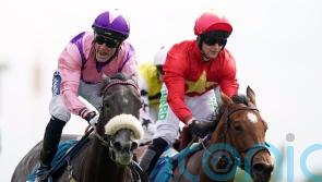 Azure Blue camp eyeing York return for comeback spin