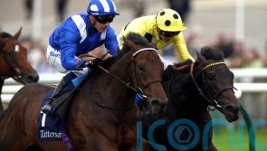 Burrows believes Alyanaabi is ready for 2000 Guineas bid