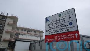 Staff, patients and public &lsquo;feel very unsafe&rsquo; at Limerick hospital &ndash; McDonald