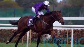 Ballysax scorer Dallas Star added to Derby field