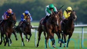 Al Musmak aiming to outrun Guineas odds