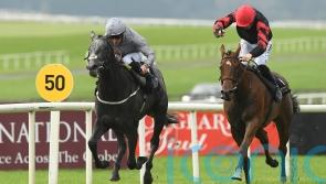 Burke backing Fallen Angel to claim Guineas glory