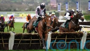 Teahupoo out for Cheltenham-Punchestown Festival double