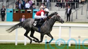 Jasour stakes Commonwealth claim with smooth success