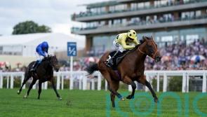 National hero Murphy relishing Rosallion&rsquo;s bid for 2000 Guineas glory