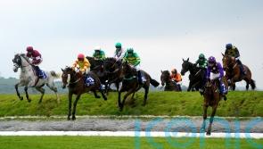 Singing Banjo hits the right notes at Punchestown