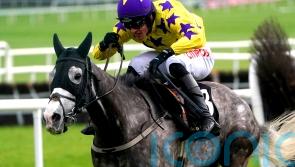 Il Etait Temps floors Gaelic Warrior for Grade One honours