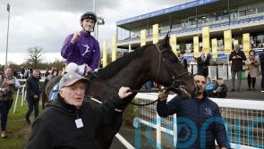 Elegant Man out to build on Easter Classic success