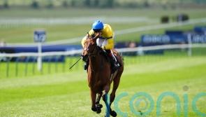 Stay Alert powers home to claim Dahlia prize