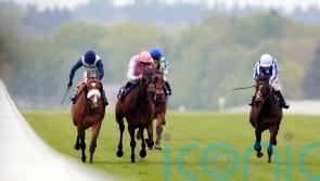 French trip planned to put Chorister on song for Gold Cup