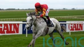 Mooresbridge magic from impressive White Birch