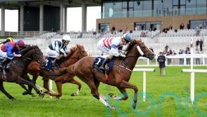 Stripes earns his Irish Guineas ticket