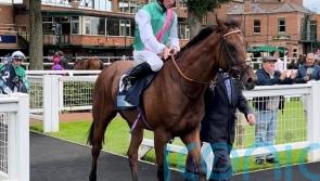 Task Force team taking patient approach after Guineas run