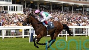 Arrest expected to strip fitter for Ormonde clash