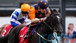 Seraphim Angel proves just divine for Dascombe