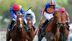 Forest pips Port in Cheshire Oaks Fairy-tale