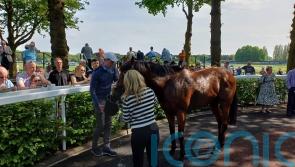 Lofty ambitions for Shartash after shining again at Haydock