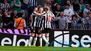 Sean Longstaff nets Newcastle equaliser against Brighton