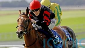 McCreery targeting &lsquo;happy and fruitful summer&rsquo; for Vespertilio