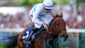 Friendly Soul aiming for Musidora welcome on the Knavesmire