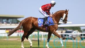 Fellowes has sights set on Royal Ascot magic from The Wizard Of Eye