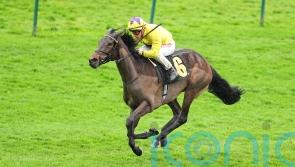 Haggas weighing up options for Sea Just In Time