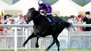 King Of Steel sidelined after training setback