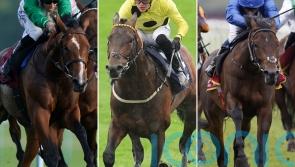 Classic aspirations on trial as Dante field assembles at York