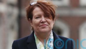 Increase in &lsquo;palpable sense of menace&rsquo; towards politicians in Ireland