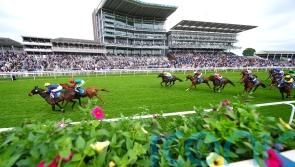 Point made at York at last by Lynas