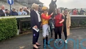 Harrington delighted as Birdman takes flight at Navan