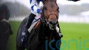 Big Rock team will regroup after Lockinge conditions go against QEII winner