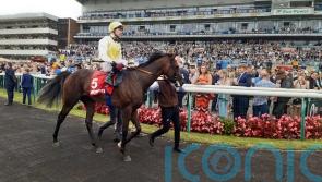 Sunway on track for Chantilly Classic bid